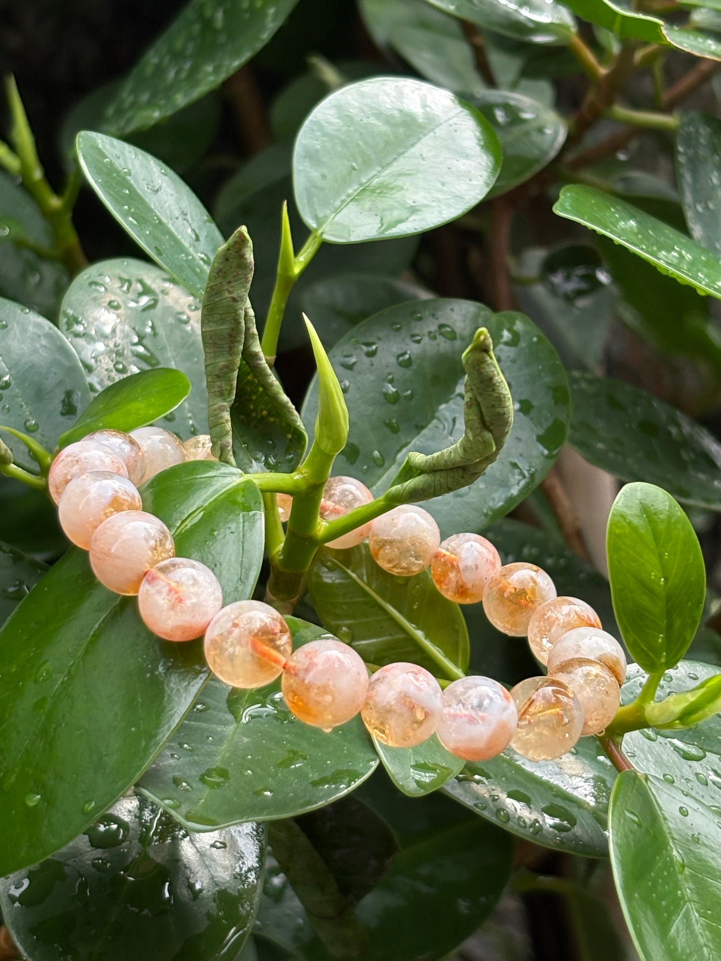 CITRINE BRACELET FROM BRAZIL