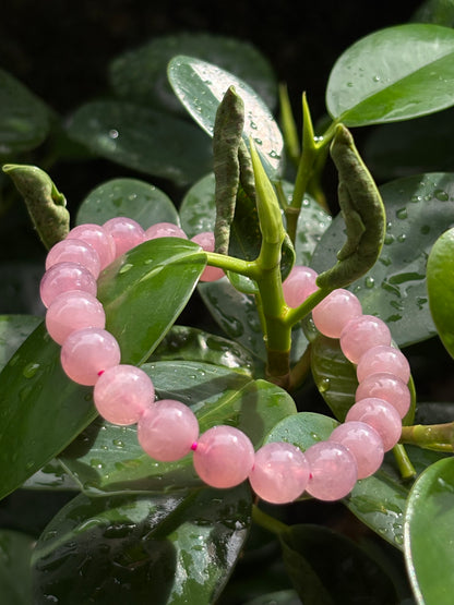 PURPLE ROSE QUARTZ BRACELET FROM BRAZIL
