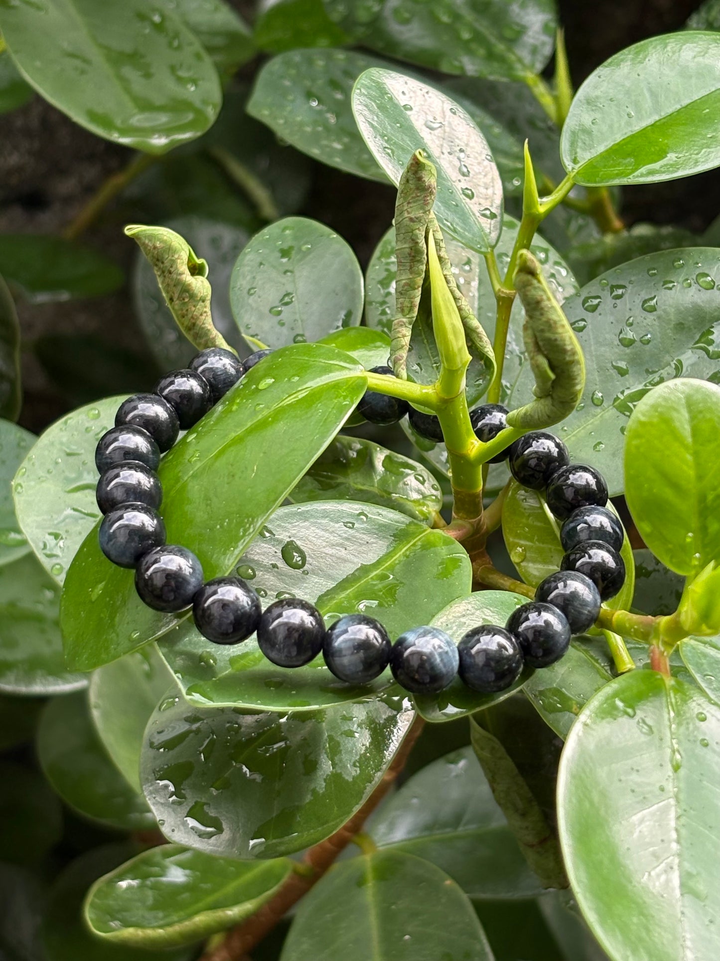 BLUE TIGER'S EYE BRACELET